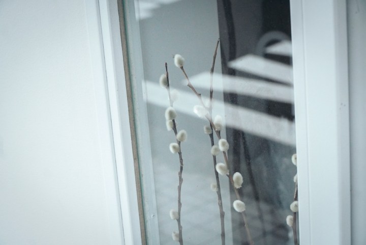 まちで育む空間 book café “élever”への挑戦|anouk|大倉山